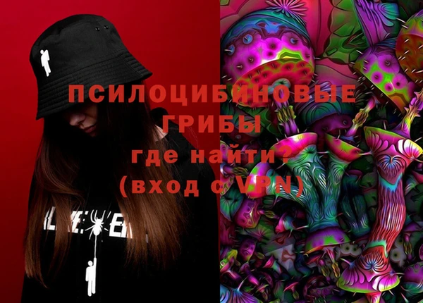 стаф Абаза