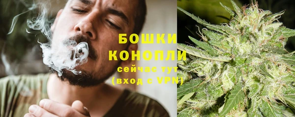 крисы Верея