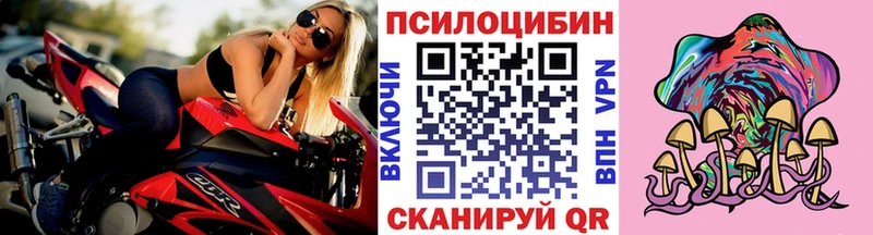 магазин продажи   Староминская  Псилоцибиновые грибы Psilocybine cubensis 
