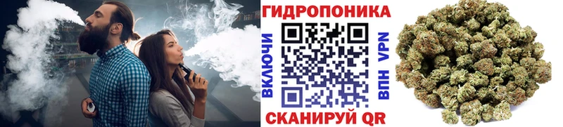 Шишки марихуана VHQ  МЕГА сайт  Староминская 